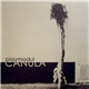 Playmodul - Canula